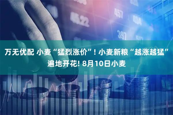 万无优配 小麦“猛烈涨价”! 小麦新粮“越涨越猛”遍地开花! 8月10日小麦