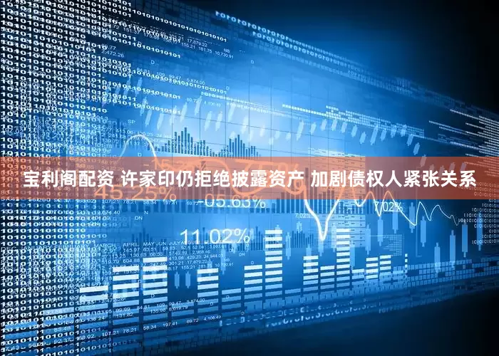 宝利阁配资 许家印仍拒绝披露资产 加剧债权人紧张关系